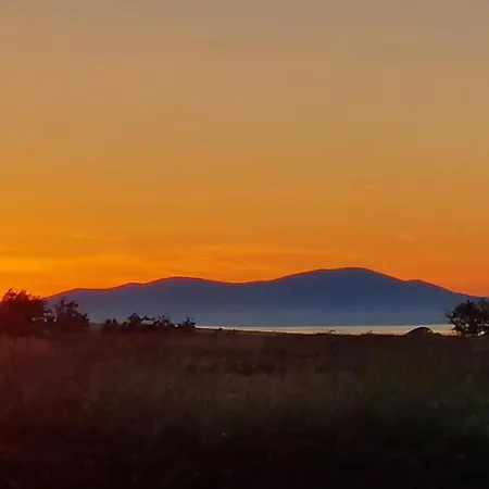 Antler - Meadows Retreat Park